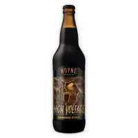 Hoyne Brewing High Voltage