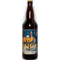 Hoyne Brewing The Big Bock