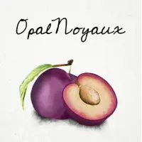 HenkeBier Opal Noyaux