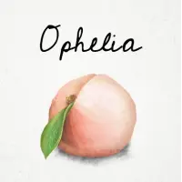 HenkeBier Ophelia