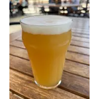 Second Street Brewery Sloppy Sloth Hazy IPA - Mosaic