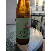 Browar Stu Mostów Sunny Ride