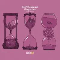 Blackout Brewing Self Destruct Sequence