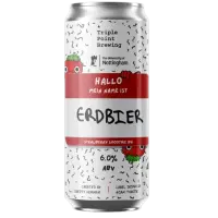 Triple Point Brewing Erdbier