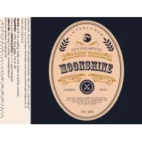 Leidsch Bier Moonshine IPA