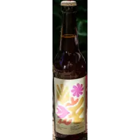 Bellwoods Brewery Vines Chambourcin (2021)