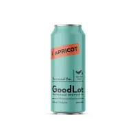 GoodLot Farmstead Brewing Co. Fruition - Apricot