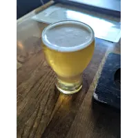 Great White Buffalo Brewing Co. Marty Party