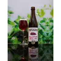 Browar Fortuna Fortunatus Raspberry Wild Ale BA