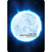 Victory Art Brew White Dwarf