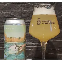 Brasserie du Bas-Canada 2e Vague