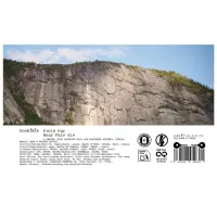 DosKiwis Brewing Co. Field Day