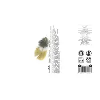 DosKiwis Brewing Co. Sunny Nelson (2025 - ...)