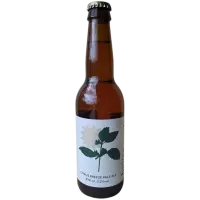 buiten.aards Citrus Breeze Pale Ale