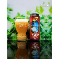 Funky Fluid Boarding: Cancun