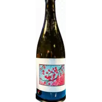 Brasserie Popihn Cerise Framboise (2023)