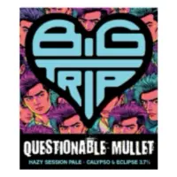 Big Trip Brewery Questionable Mullet