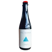 Manor Park Brewing Teal Triangle Guava Sour