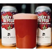 Back Hill Beer Company Today is Better - Raspberry & Black Currant