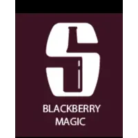 Salikatt Bryggeri Blackberry Magic