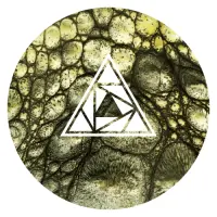 Glasshouse Beer Co Croc Encounters