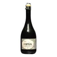 L'apaisée Coetus XII
