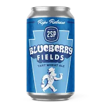 2SP Brewing Company Blueberry Fields