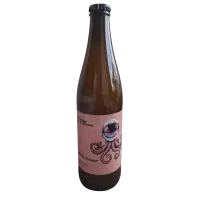 Browar Stu Mostów Galactic Voyager