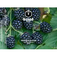 Brood Meadery Nature's Pantry