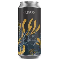 Kauri Brewery Saison