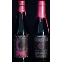 Temporal Artisan Ales Expanding Fractals