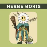 À Outrance Herbe Boris