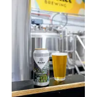 Bracket Brewing Woodlands