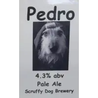 Scruffy Dog Pedro