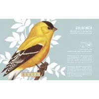 Bluejacket Goldfinch