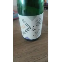 Hoppe.beer Jules