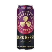Propeller Brewery Dark Berry Sour Ale