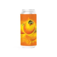 Tree House Brewing Company Double Peach Tart