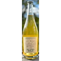 Salt Spring Wild Cider House Long Winter Pet-Nat