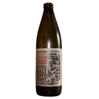 S&A Brewing (Storm&Anchor) Southern Cross