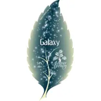 Ashover Brew Co. Galaxy