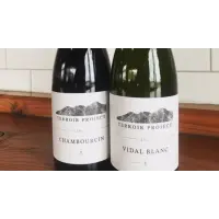 Side Project Brewing Terroir Project - Vidal Blanc (2017)