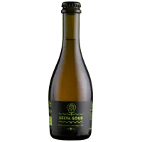 Birra dell' Eremo Selva Sour