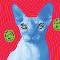 All My Friends Beer Co. Catty
