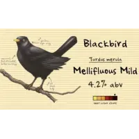 From The Notebook Blackbird