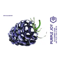 Efir Brewery Purple Joy