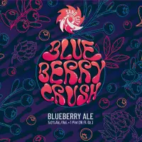 Sand City Brewing Company Blueberry Crush