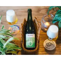 Balance Brewing & Blending Foraged Series - Elderflower
