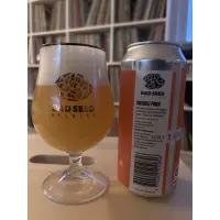 Bad Seed Brewing Crocodile Punch