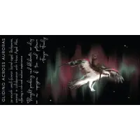 Forager Brewing Company Gilding Across Auroras